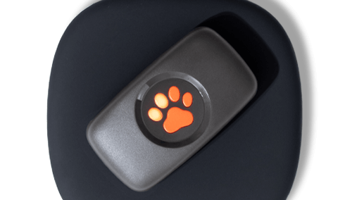 PitPat GPS Tracker for Dogs