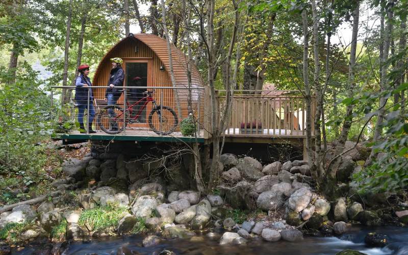 Dog friendly glamping holidays - pet friendly yurts, pods and shepherd's huts UK