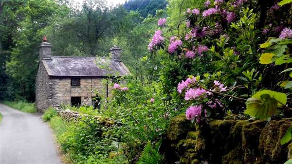 Glan Lledr Image 1