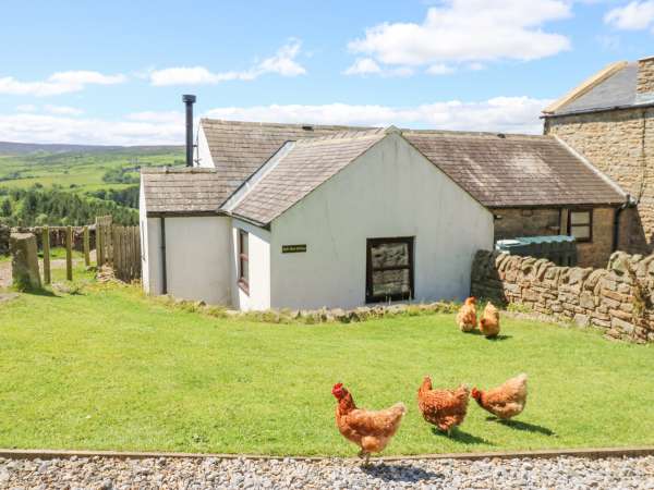 Dale View Cottage, Allendale