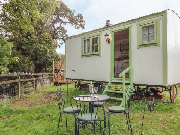 The Old Mill Shepherd's Hut, Okehampton