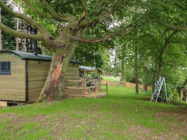 High Rigg Shepherd's Hideaway, Brampton, Cumbria