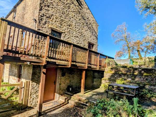 Chestnut, Alston
