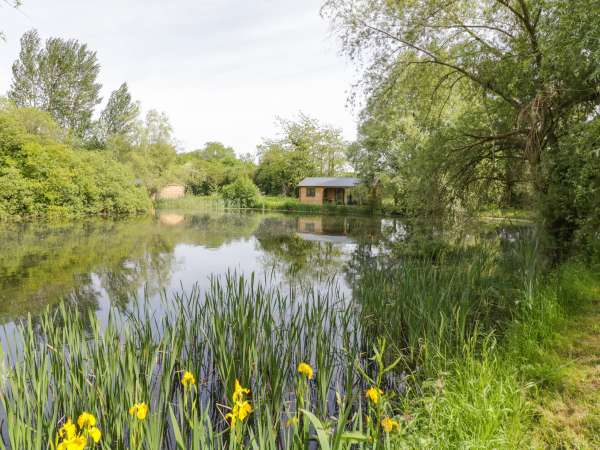 Willow, Dunchurch