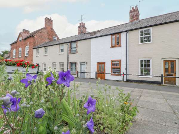 Kingfisher, Ludlow