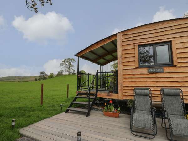 Wild Acre, Llandovery