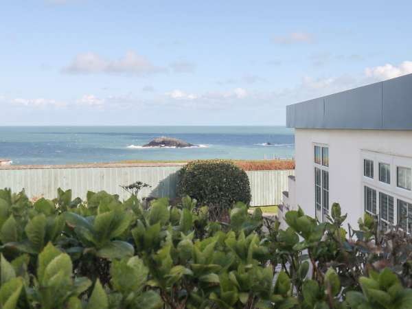 Guillemot, Crantock